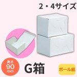 画像1: 《G箱》Ｃ－０１－Ｇ（白無地横入れ手さげなし）２Ｇ/４Ｇ (1)