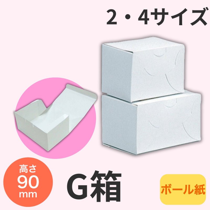画像1: 《G箱》Ｃ－０１－Ｇ（白無地横入れ手さげなし）２Ｇ/４Ｇ (1)