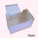 画像5: Ｃ－０１－Ｇ(つや無)　業務用パック　サイズ/２Ｇ/４Ｇ (5)