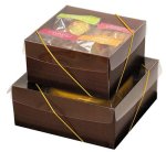 ※使用イメージ（Ｓ/Ｍ）