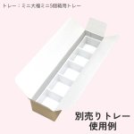 画像8: ミニ大福５個箱＠１つあたり31.36円 (8)