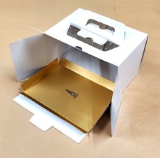 ノエル小サイズ