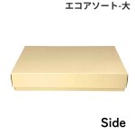 画像19: エコアソート（仕切付）/小/中/大 (19)