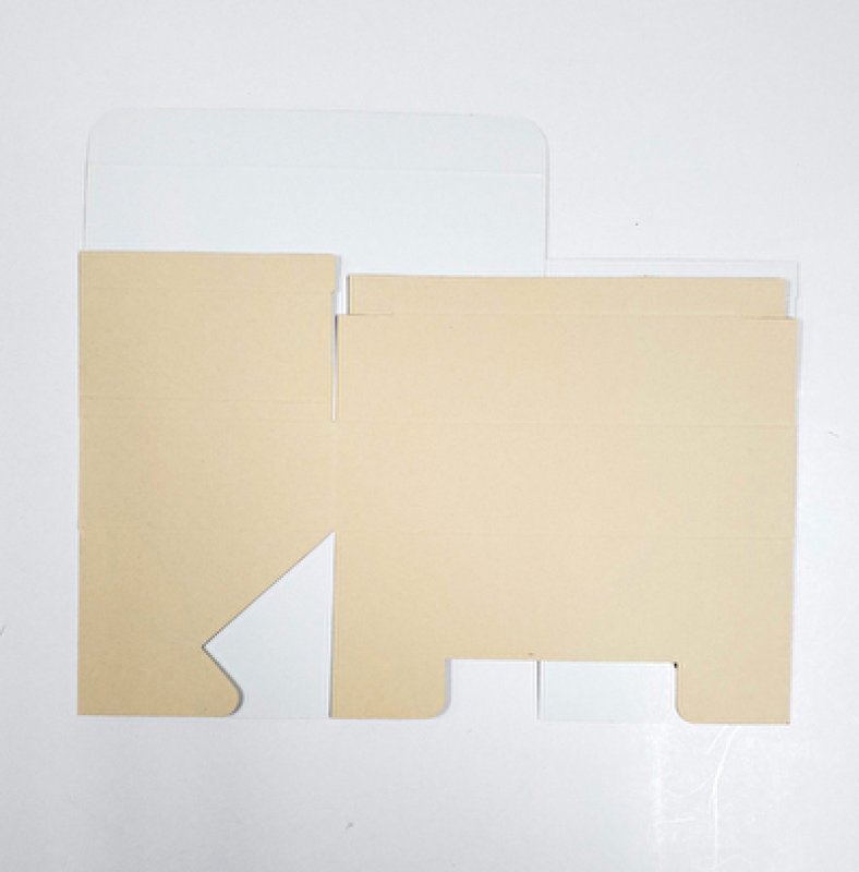 ※納品時（画像は同型別商品/エコファイブです）