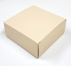 ５号