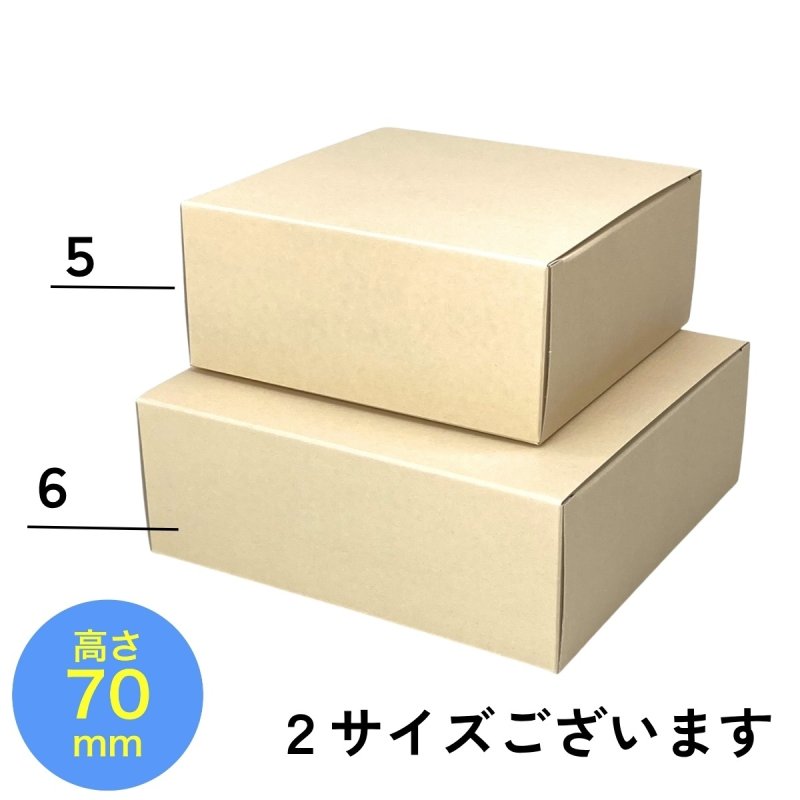 画像4: エコギフト（台紙付）５号/６号＠1枚当たり53.58〜67.95円 (4)