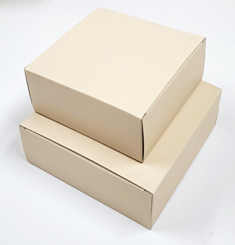 ５号サイズ・６号サイズがございます