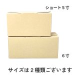 画像10: ニューエコロール６寸＠1枚あたり49.01円 (10)