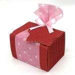 ※使用イメージ（画像はレッドです）