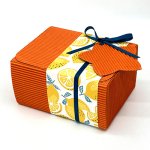 ※使用イメージ（画像はオレンジです）