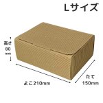 画像1: 《新商品》マルチギフトL ナチュラル　タグ付き＠1枚あたり86円 (1)