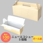 画像1: ニューエコシュー５個箱＠1枚あたり45.25円 (1)