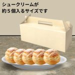 画像9: ニューエコシュー５個箱＠1枚あたり45.25円 (9)