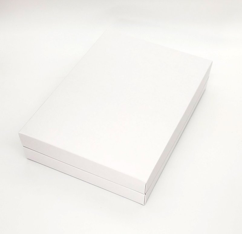 ニュープレーン中サイズ