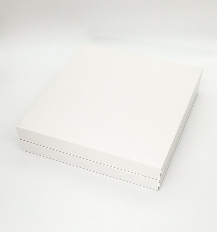 ニュープレーン大