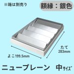 画像29: ニュープレーンギフト/小/中/大 (29)