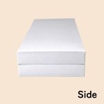 画像6: ニュープレーンギフト/小/中/大 (6)