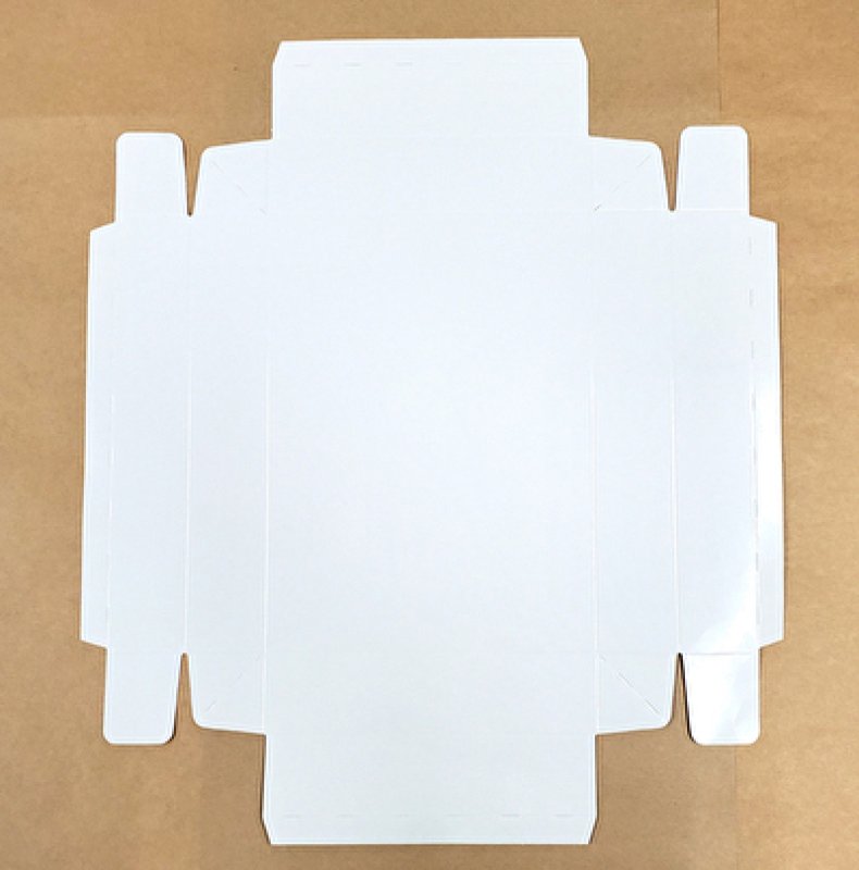 画像8: ピュアホワイト/小/中/大/特大 (8)