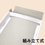 画像28: ピュアホワイト/小/中/大/特大 (28)