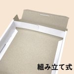 画像17: ピュアホワイト/小/中/大/特大 (17)