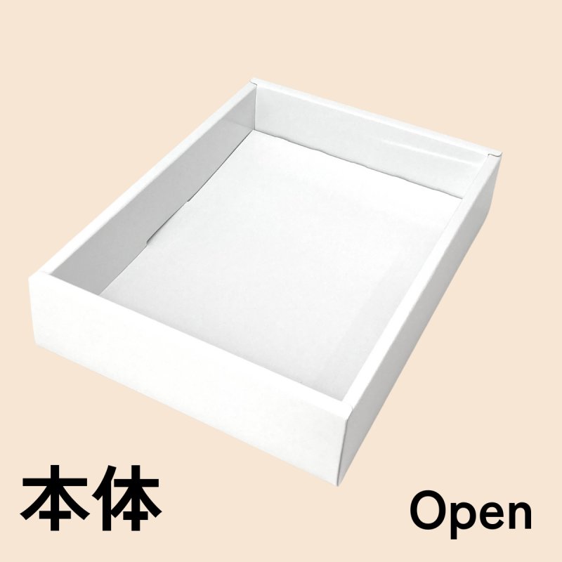 画像9: ピュアホワイト/小/中/大/特大 (9)