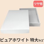 画像33: ピュアホワイト/小/中/大/特大 (33)