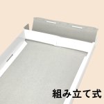 画像37: ピュアホワイト/小/中/大/特大 (37)