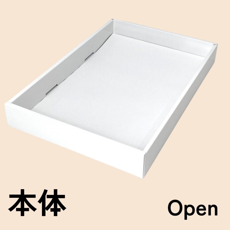 画像39: ピュアホワイト/小/中/大/特大 (39)