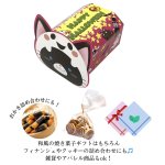 画像14: 【アウトレット】ノリノリボックスＢＯＸくろねこ＠1枚あたり57.60→34.00円 (14)