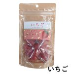 画像4: ※ドライフルーツ｜選べる８種類（単品） 1ロット：80個　単価：525円 (4)