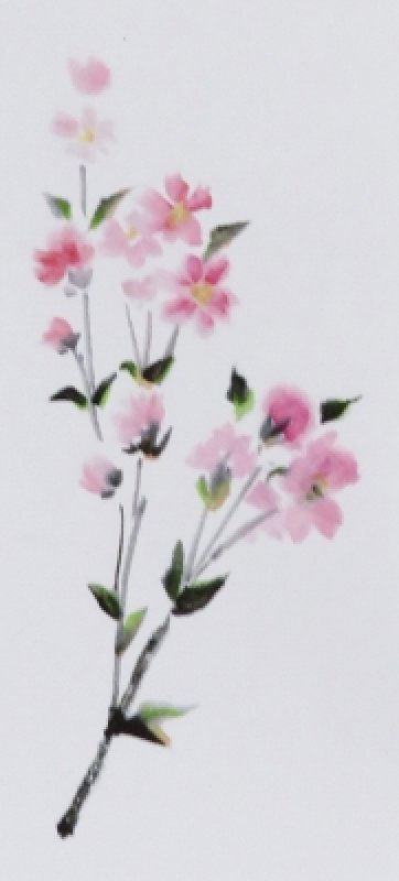 正面イラストアップ