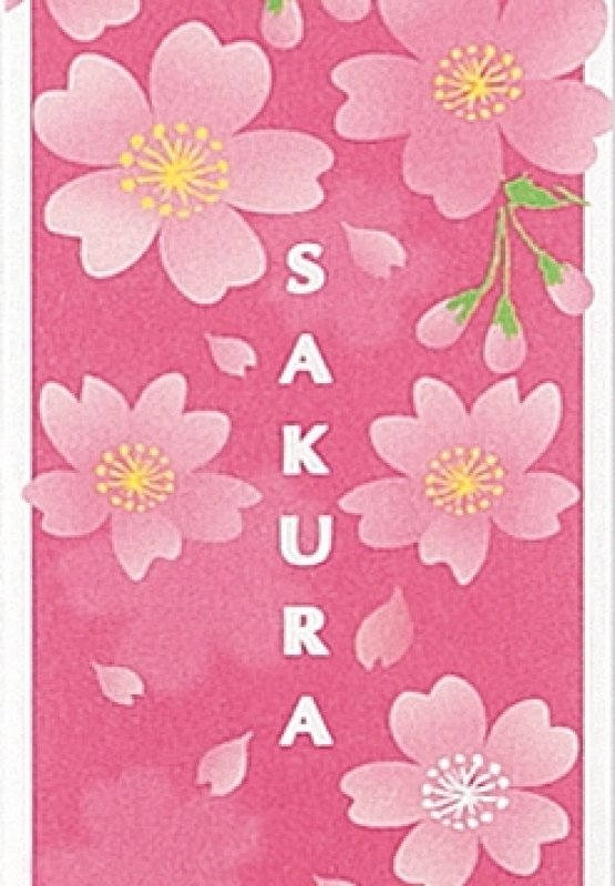 正面イラストアップ