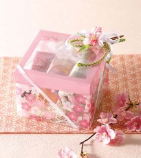 ※使用イメージ