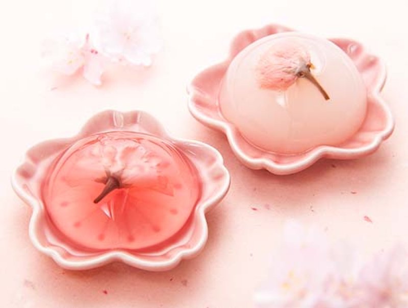 ※イメージ画像