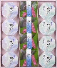 12個入