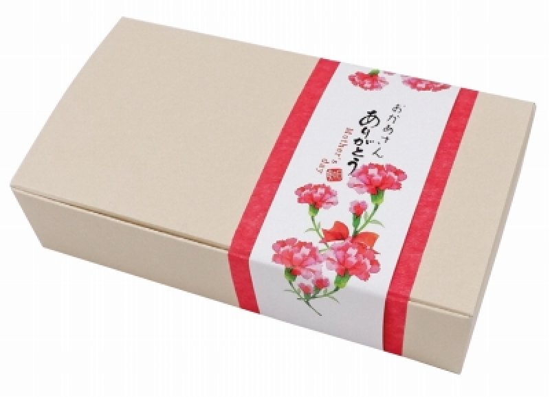 画像3: エコファイブ（仕切付）　300枚入／単価　47円