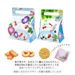 画像9: 夏だよりメロディキャリーＢＯＸ＠1つあたり91.48円 (9)