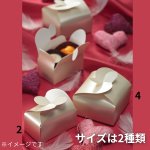 画像11: Ｔ－天使の羽根－２/－４（箱のみ）１つ＠29.45〜50.59円 (11)