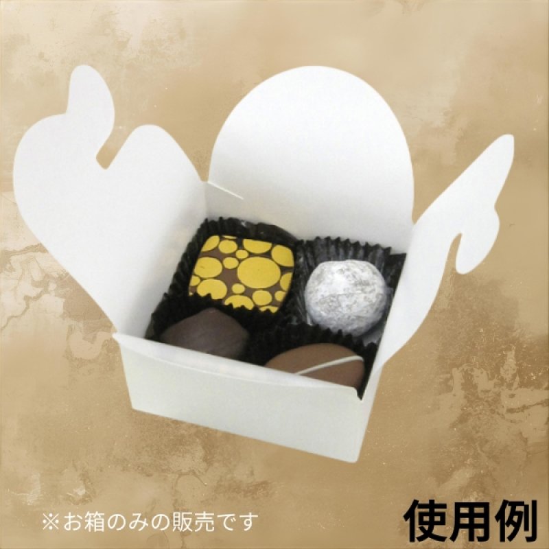 画像21: Ｔ－天使の羽根－２/－４（箱のみ）１つ＠29.45〜50.59円 (21)