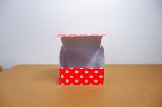 画像6: 【ハロウィン・クリスマス応援ベストプライス！】スイーツドーム　レッド＠１つあたり50円→40円 (6)