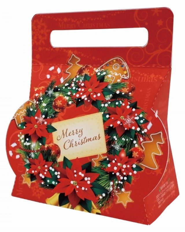 リースメロディキャリー(表)