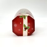 画像6: 【クリスマスアウトレット】ノリノリＢＯＸ（サンタ）＠1つあたり57.60→34.00円 (6)