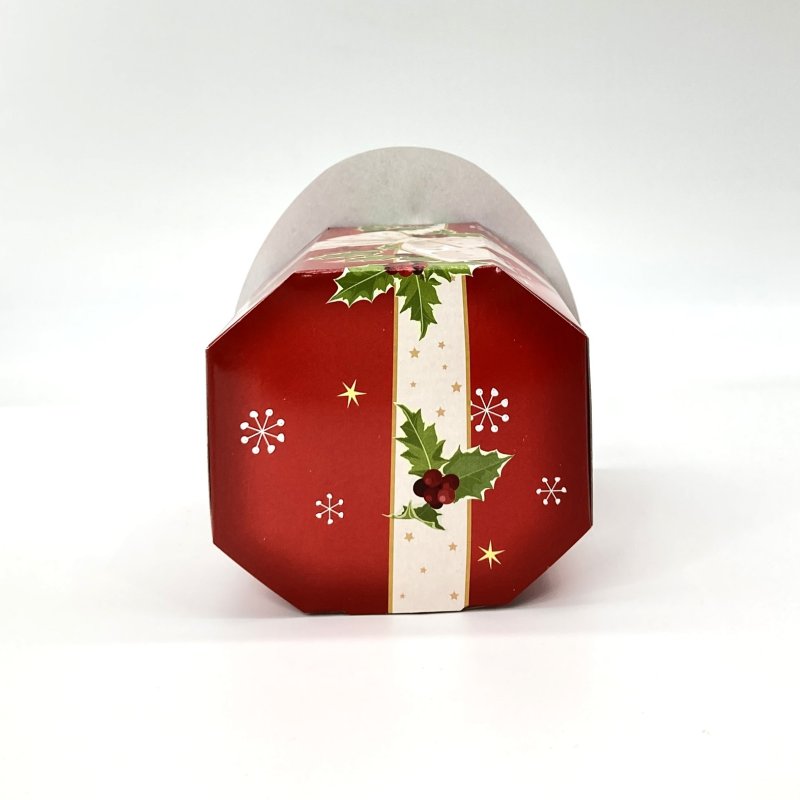 画像6: 【クリスマスアウトレット】ノリノリＢＯＸ（サンタ）＠1つあたり57.60→34.00円 (6)