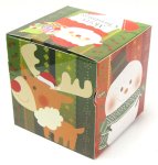 画像2: 残りわずか【クリスマスアウトレット】ＸｍａｓジッパーＢＯＸ＠１枚あたり93.50→42.50円 (2)