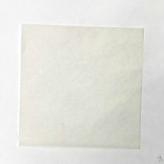 白無地