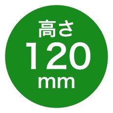 S6号