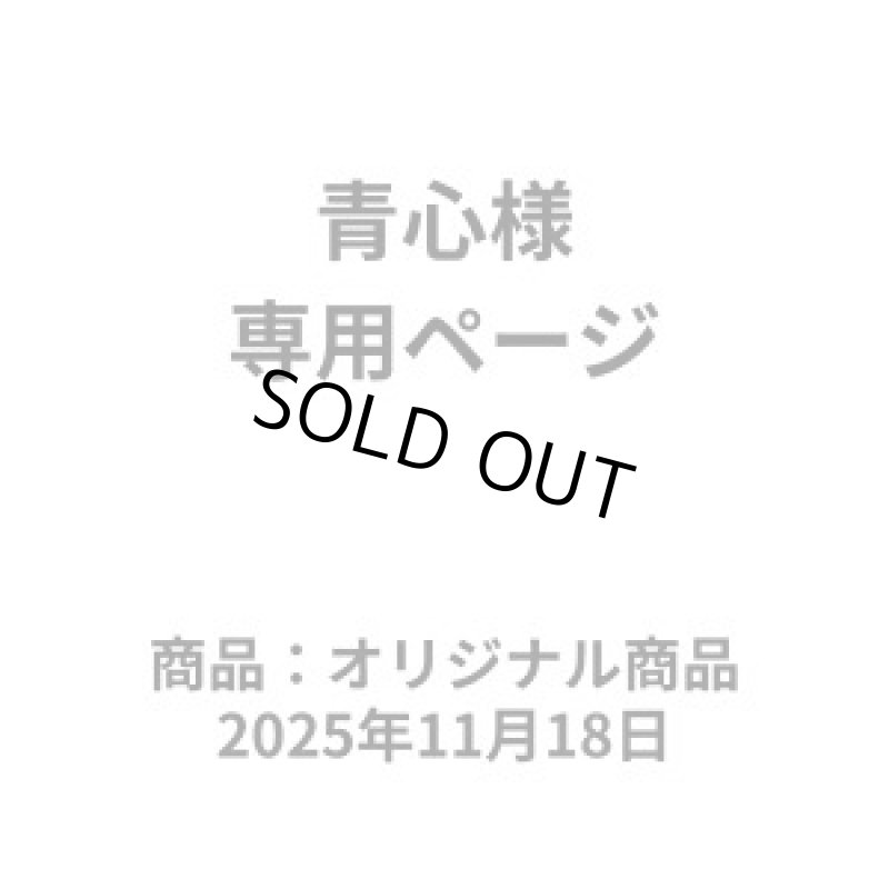 画像1: 株式会社青心様専用ページ【鶏からの家-Ｗ６Ｇ】 (1)