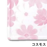 画像3: カルトンキャレ （ブルーム、コスモス、 クリーム、Mフルーツ）４.５号/５号/６号　100枚入／　単価　37〜50円 (3)