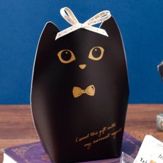 ※使用イメージ