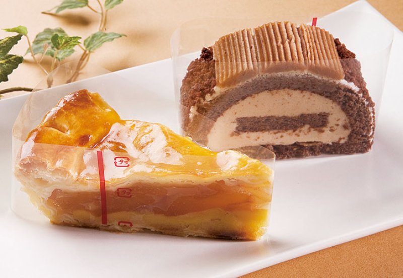 ※使用イメージ　CF-11/20